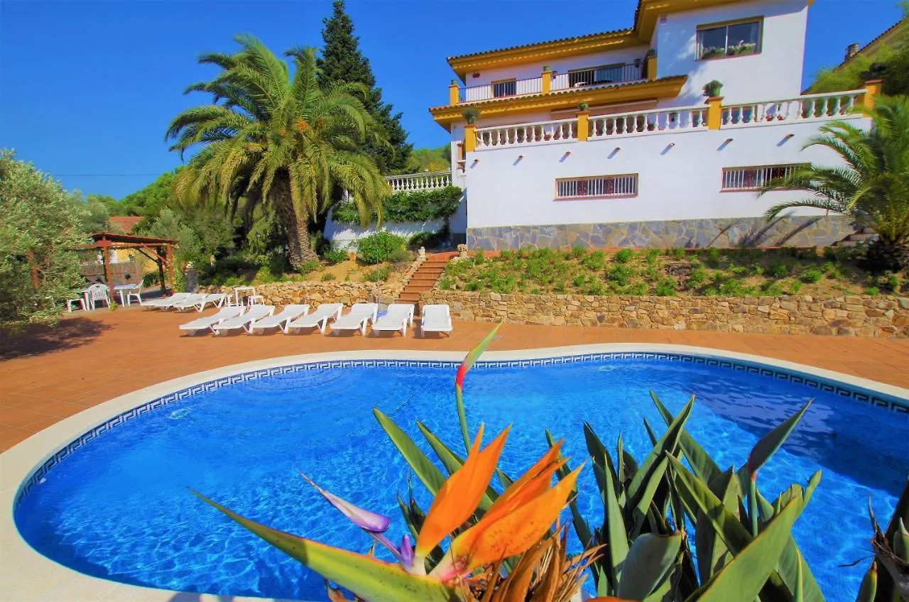Vacances & Villas Lloret-Villa Dali