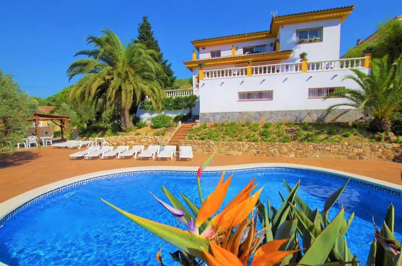 Vacances & Villas Lloret-Villa Dali 0*, Lloret de Mar Spain