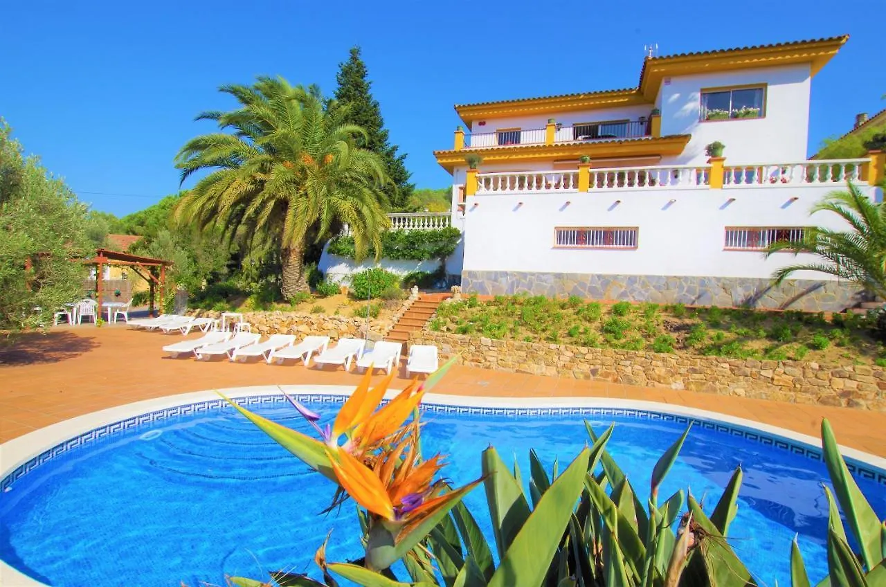 Vacances & Villas Lloret-Villa Dali